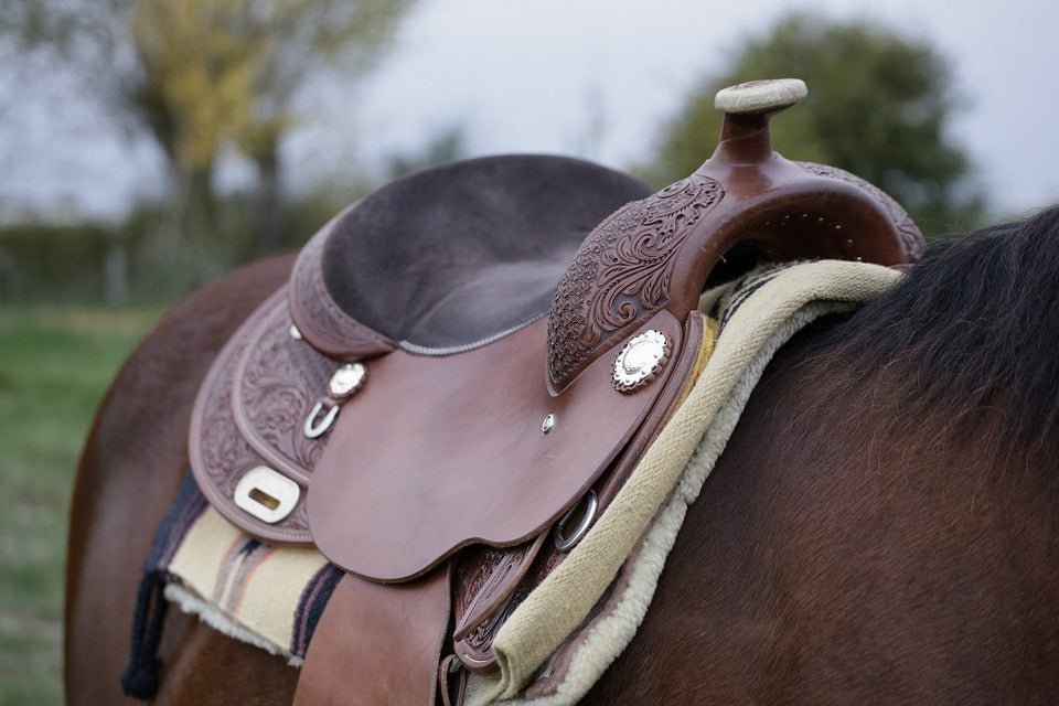 How to Repair Worn-Out Leather Saddles Effectively - Pecard Leather Care Company