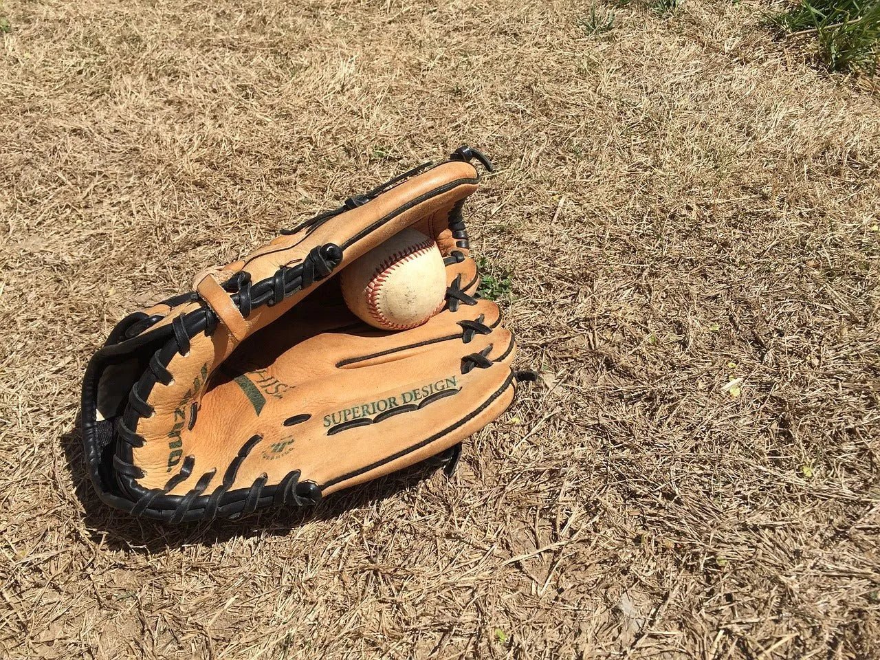 How to Keep Baseball Gloves Game-Ready - Pecard Leather Care Company